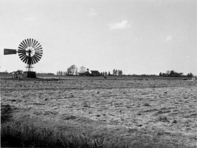 plaatje