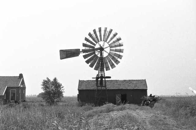 plaatje