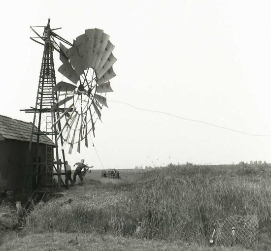 plaatje