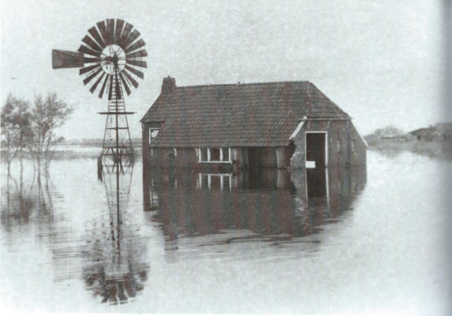 plaatje