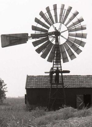plaatje