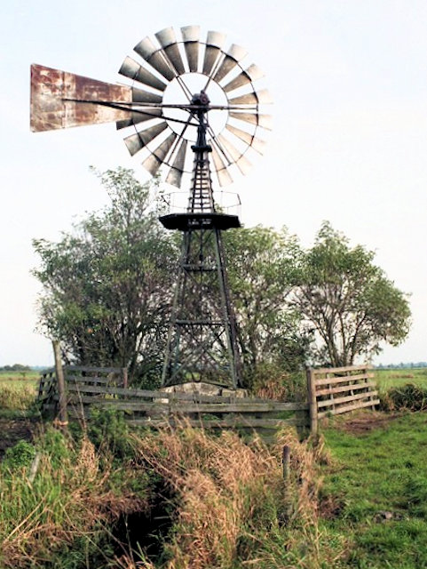 plaatje