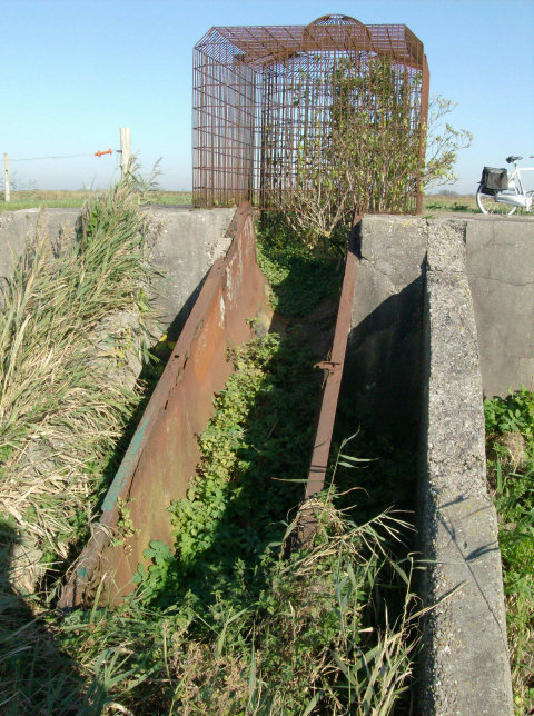 plaatje