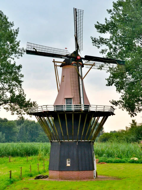 plaatje