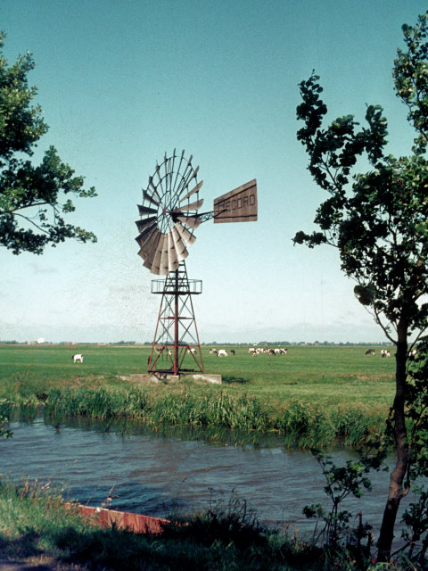 plaatje