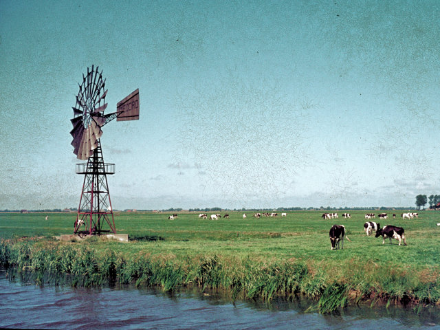 plaatje