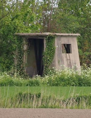 plaatje