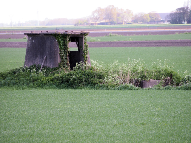 plaatje