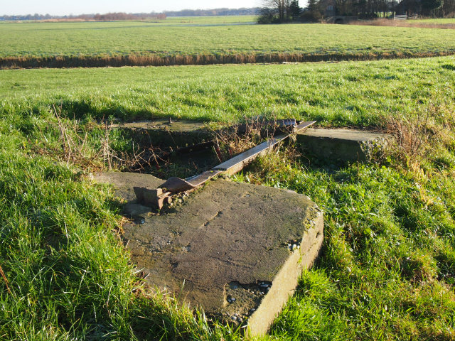 plaatje