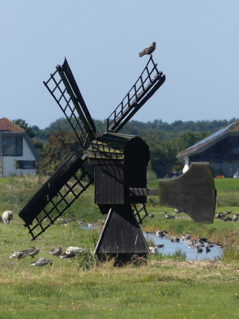 plaatje
