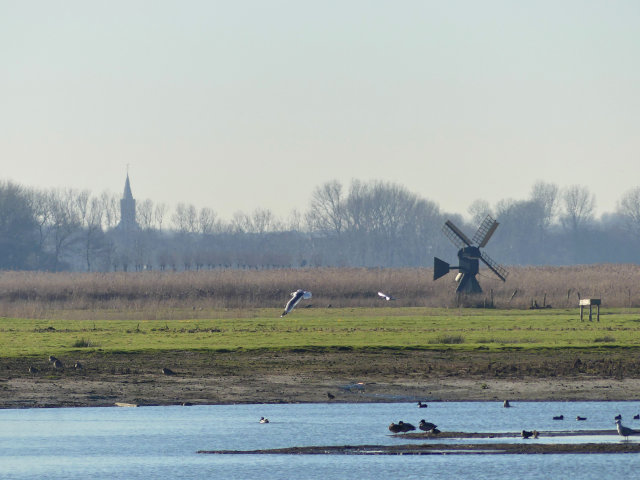 plaatje