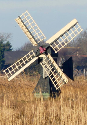 plaatje