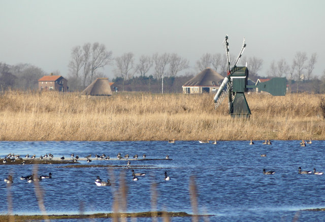 plaatje