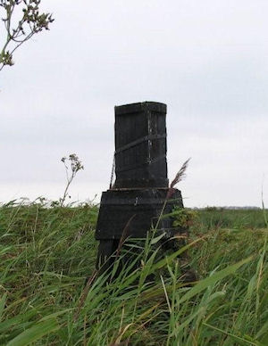 plaatje