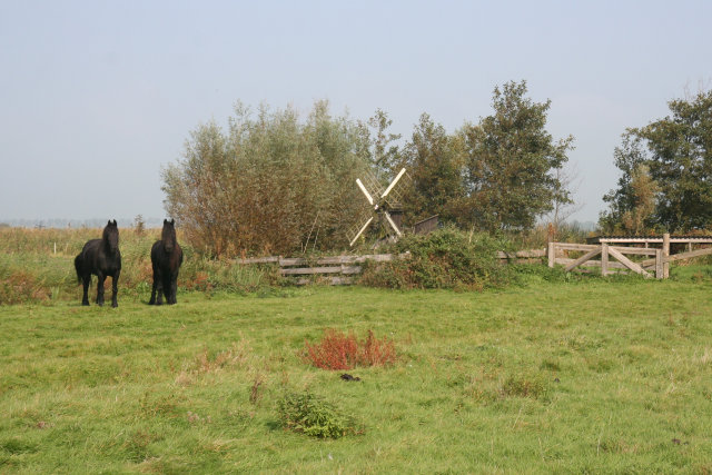 plaatje