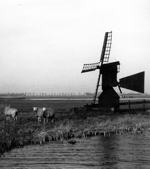 plaatje