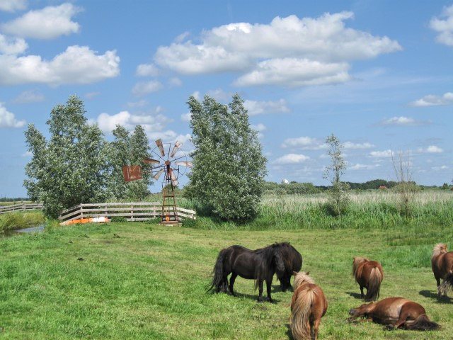 plaatje