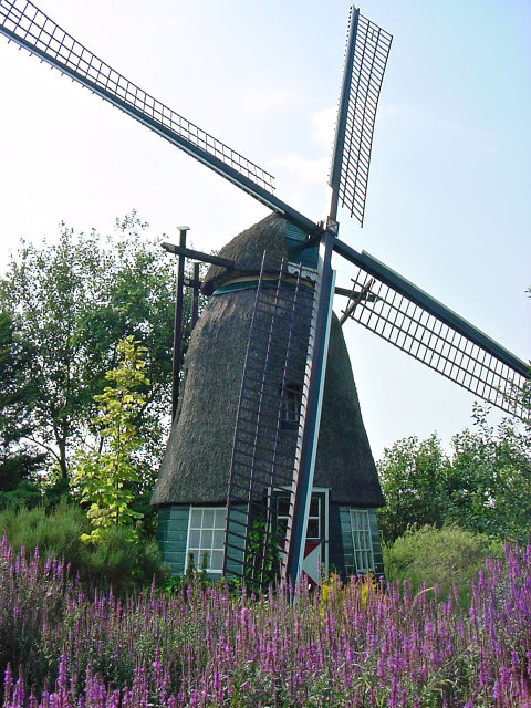 plaatje