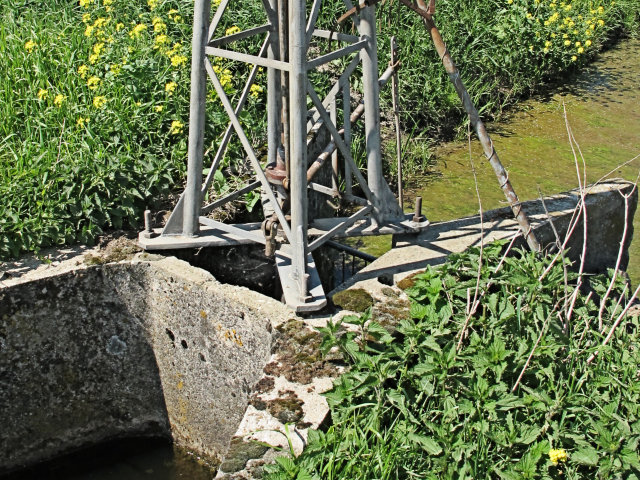 plaatje