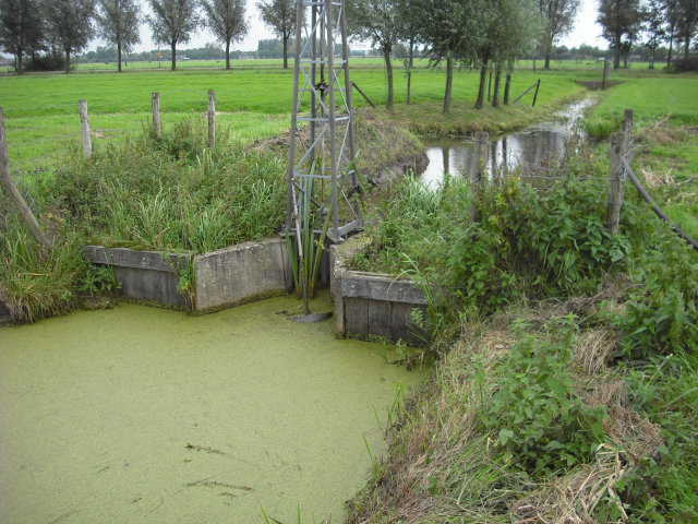 plaatje