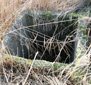 plaatje