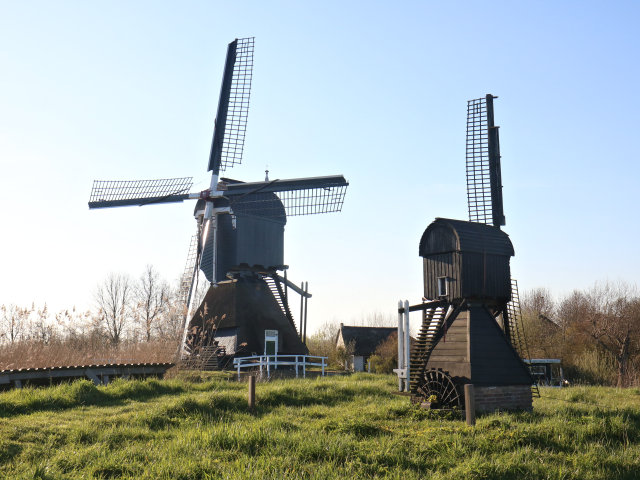 plaatje