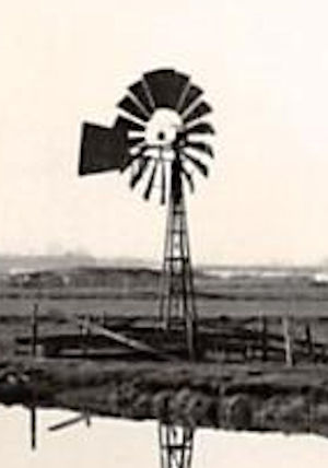 plaatje