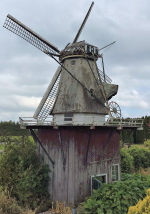 plaatje