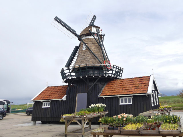 plaatje