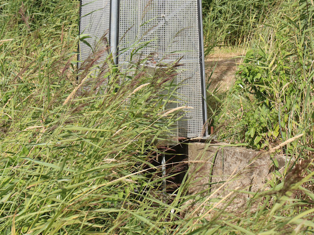 plaatje