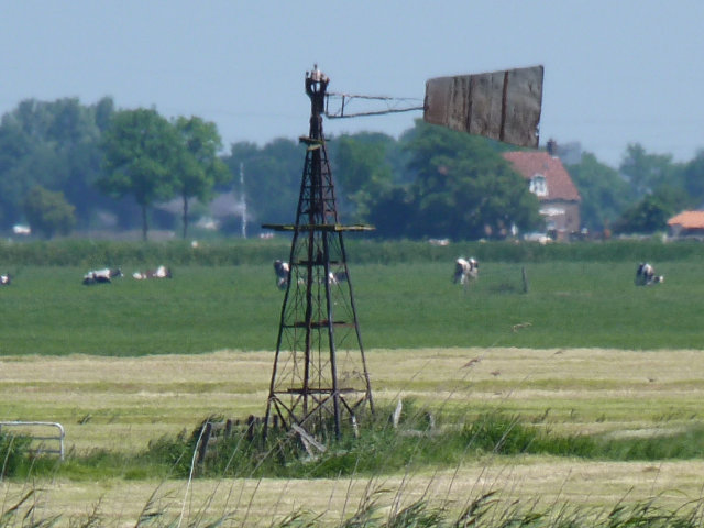 plaatje