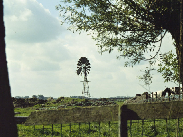 plaatje