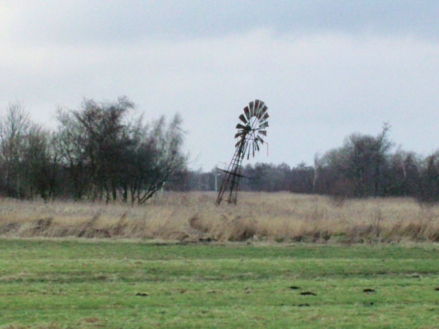 plaatje