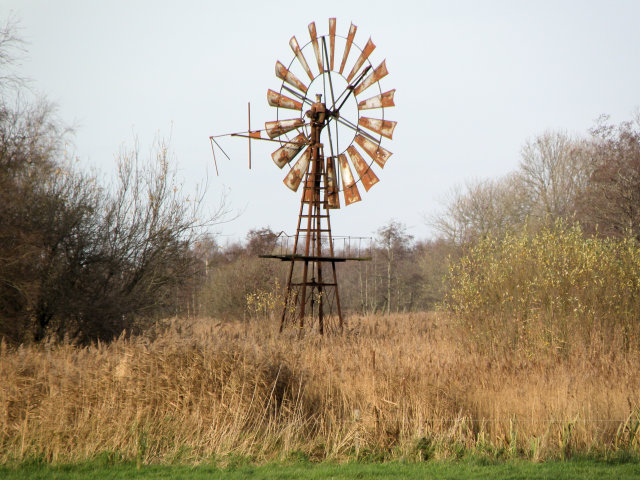 plaatje