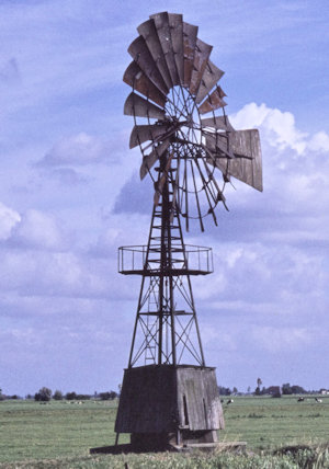 plaatje