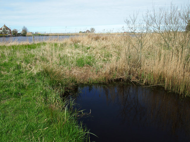 plaatje