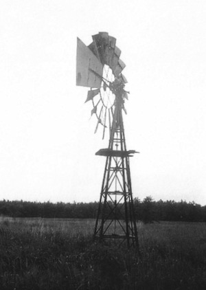 plaatje