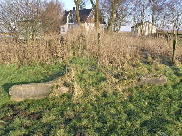plaatje