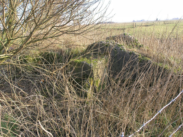 plaatje