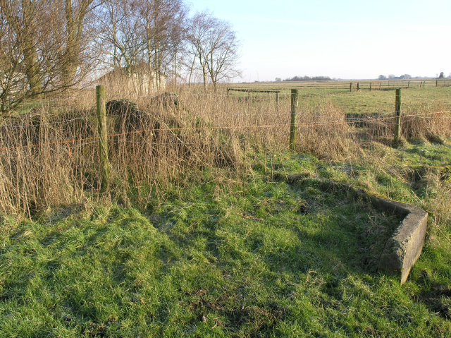 plaatje