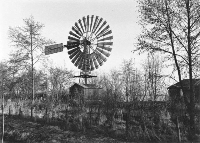 plaatje